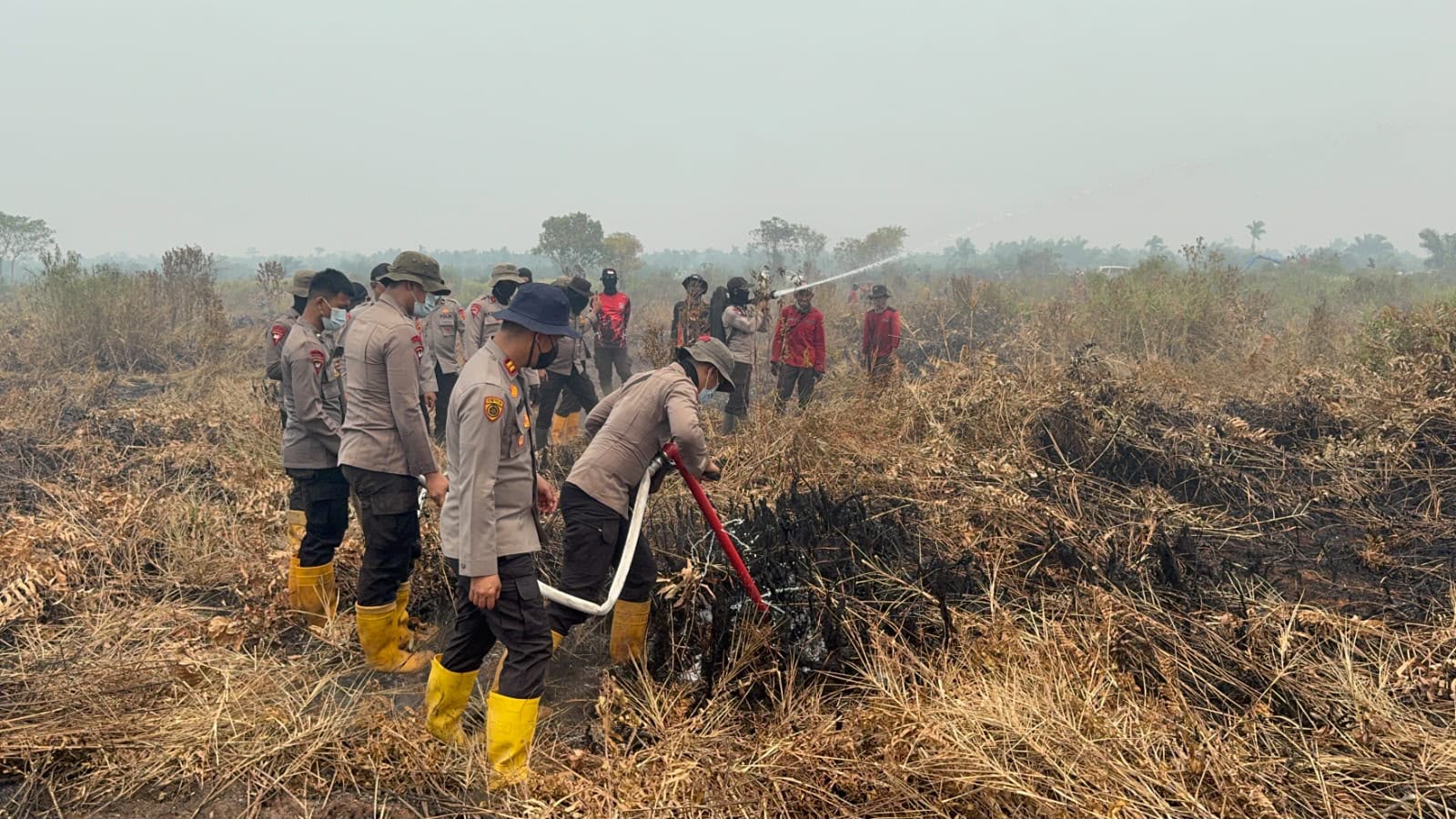 Polda Jambi Gunakan Ribuan Liter Cairan X-Fire untuk Percepat Penanganan Karhutla di Taman Nasional Berbak