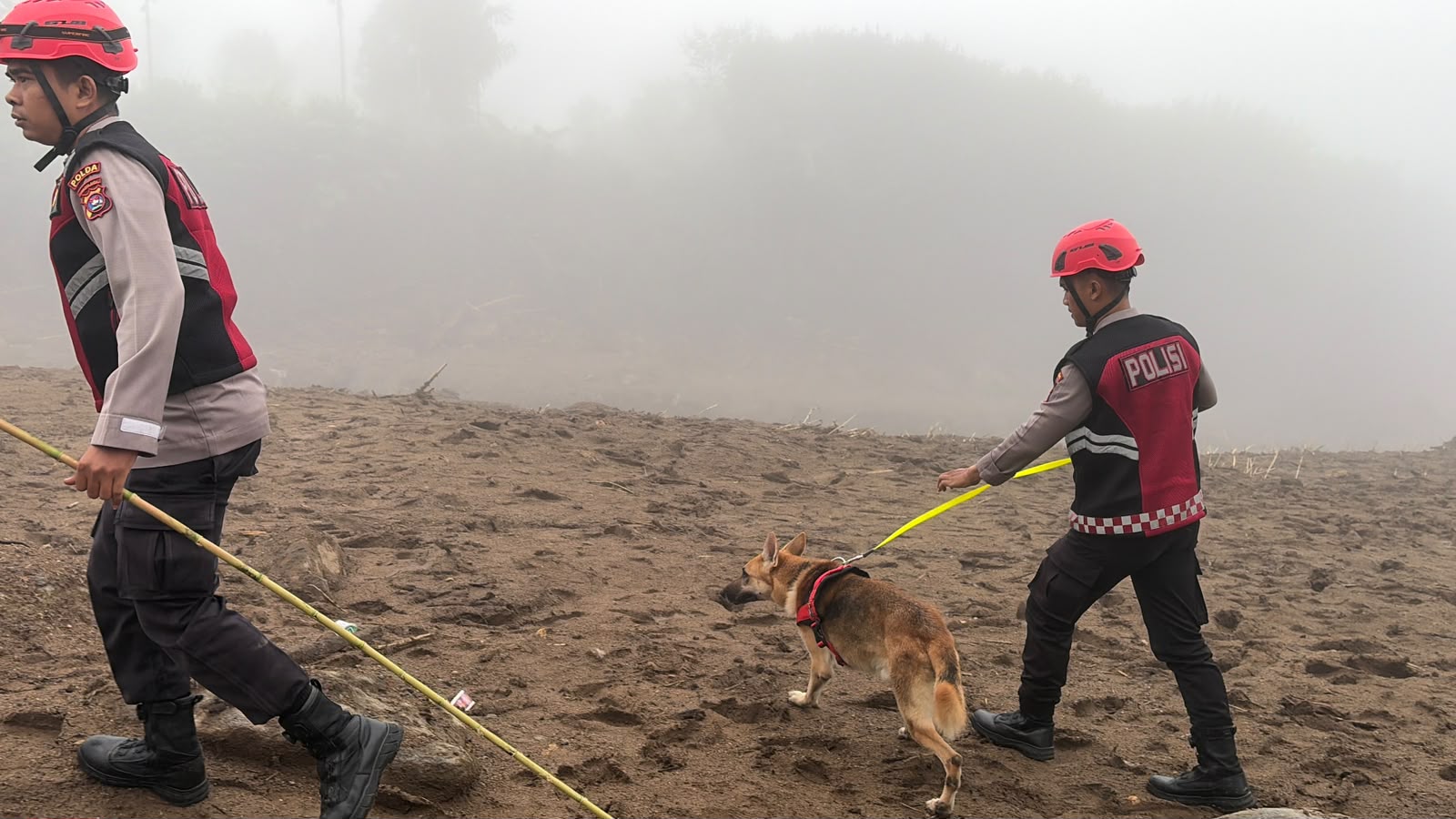 Unit Polsatwa Ditsamapta Polda Sumbar Turunkan K9 Spesifikasi SAR Telusuri Jalur Air Bah